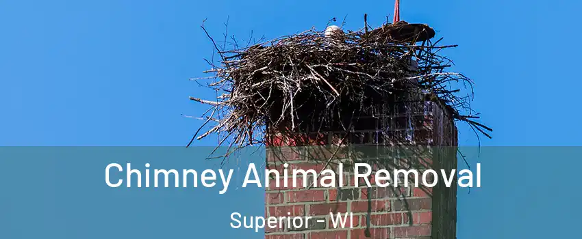  Chimney Animal Removal Superior - WI
