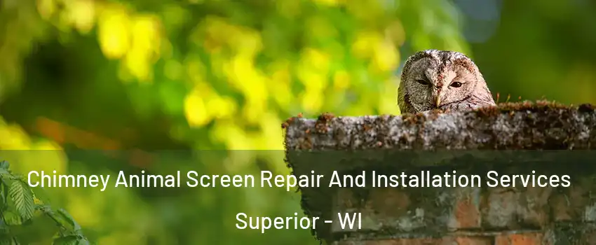  Chimney Animal Screen Repair And Installation Services Superior - WI