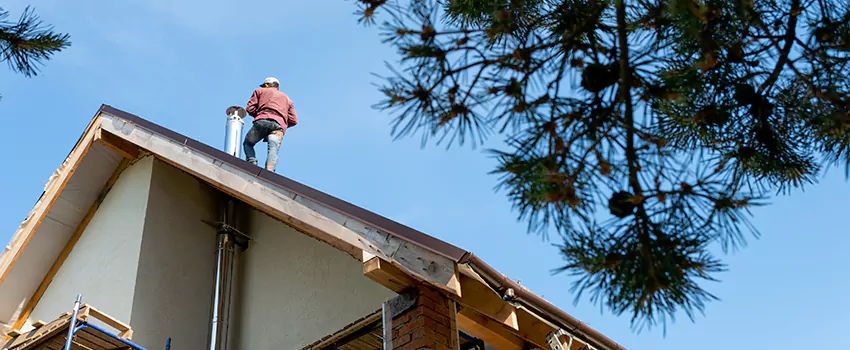 Birds Removal Contractors from Chimney in Superior, WI