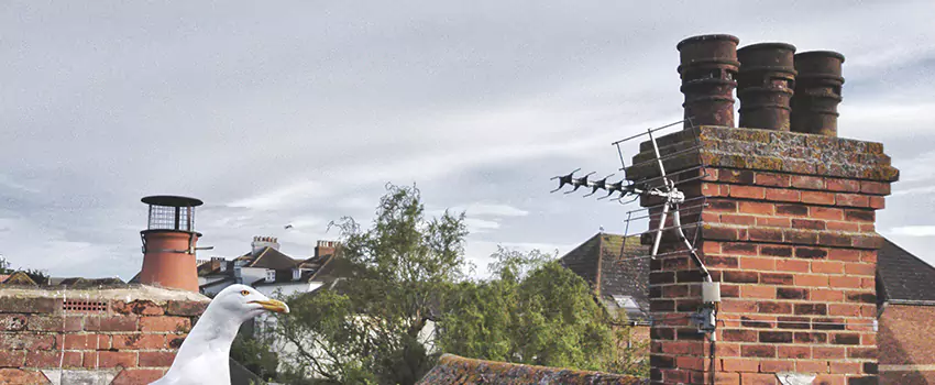 Chimney Cleaning And Restoration in Superior, Wisconsin
